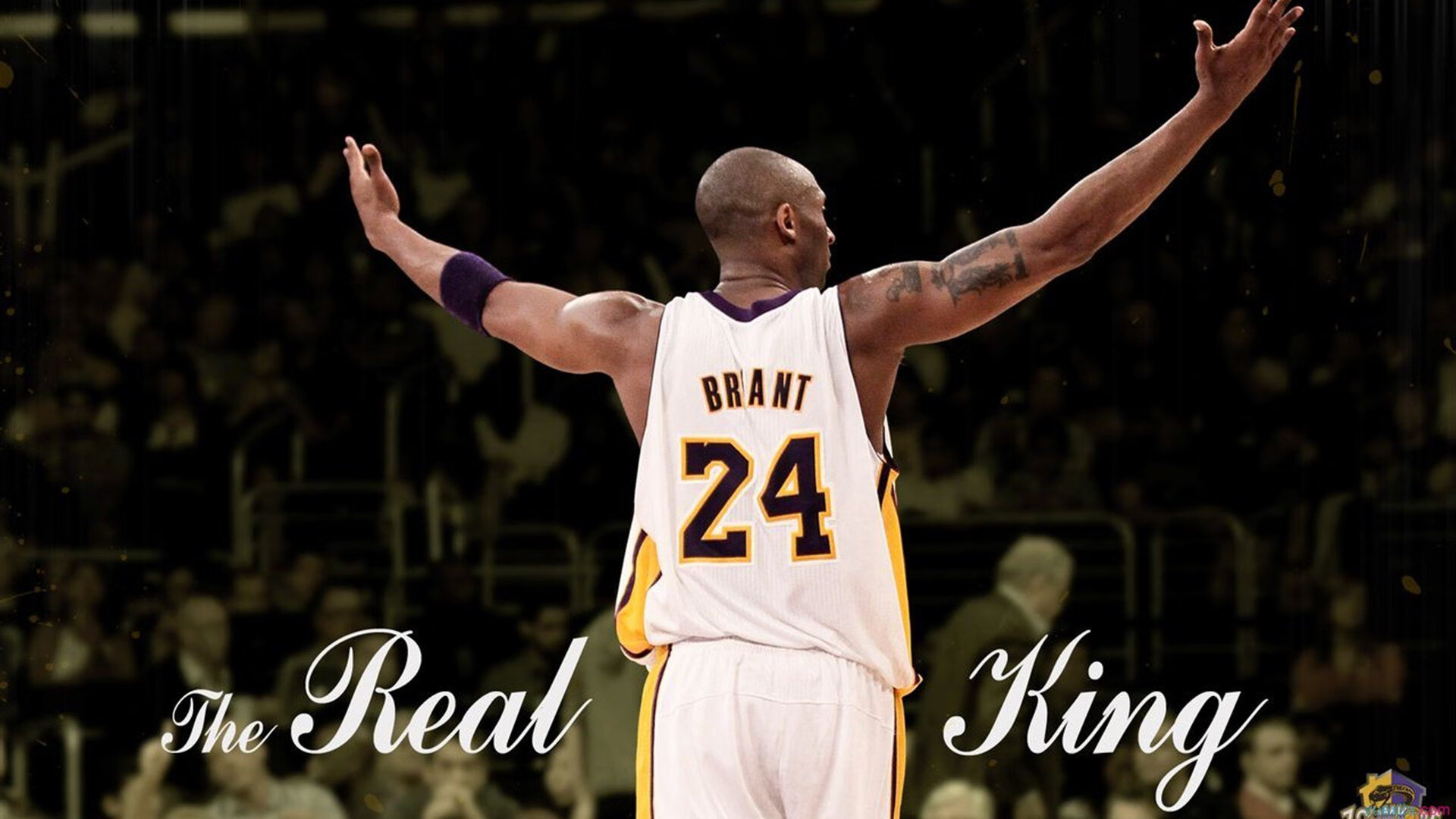 bet365-电竞之神跨界封神！TheShy单挑篮网全队爆冷取胜，赛事规则紧急更新引爆全网热议